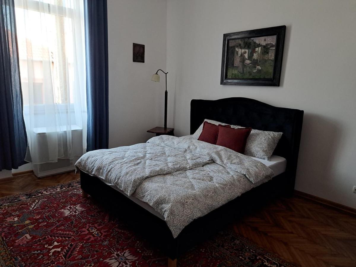 Weisz Apartment-City Center-Free Private Parking,Wifi,Ac Carei Eksteriør bilde