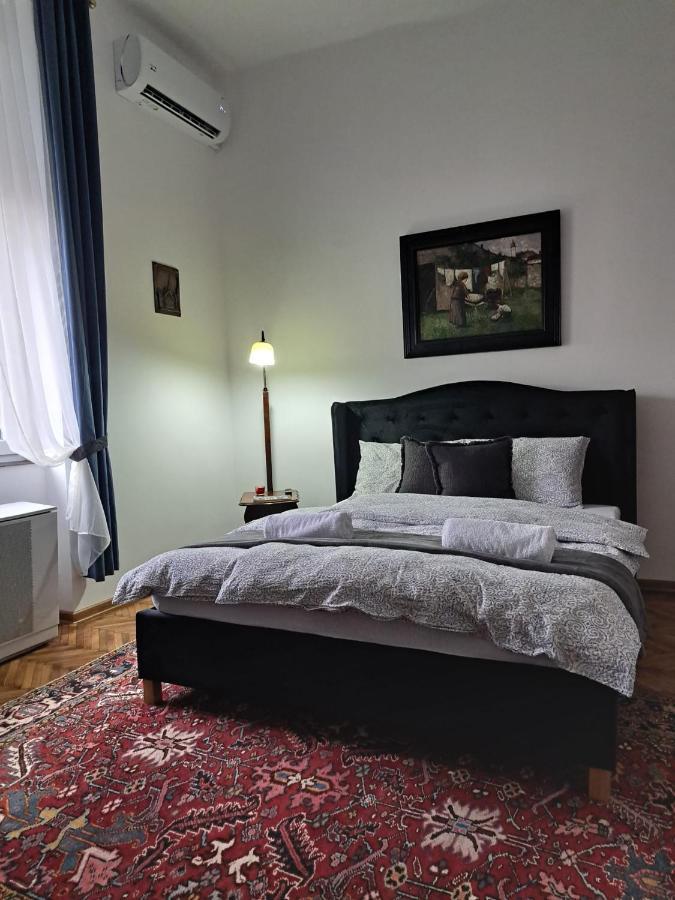 Weisz Apartment-City Center-Free Private Parking,Wifi,Ac Carei Eksteriør bilde